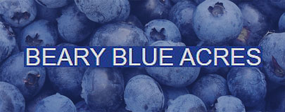 Beary Blue Acres Logo